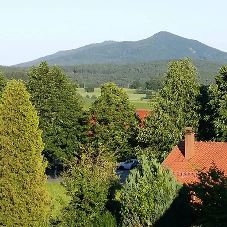 Bethke Furth im Wald